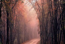 赫塔费战胜阿尔梅里亚，继续保持不败