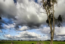 韩国男篮实现逆袭，成为黑马冲击冠军