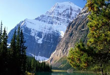 点燃赛场热情，球员们尽展身手